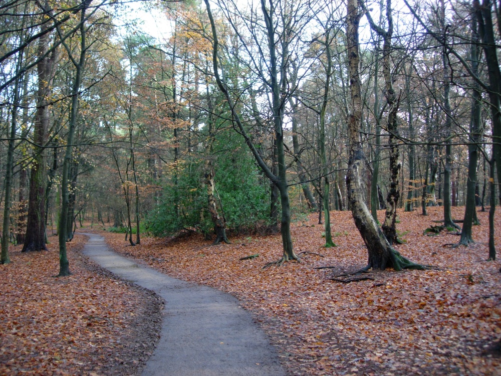 Autumn Colours in Over Alderley, Cheshire