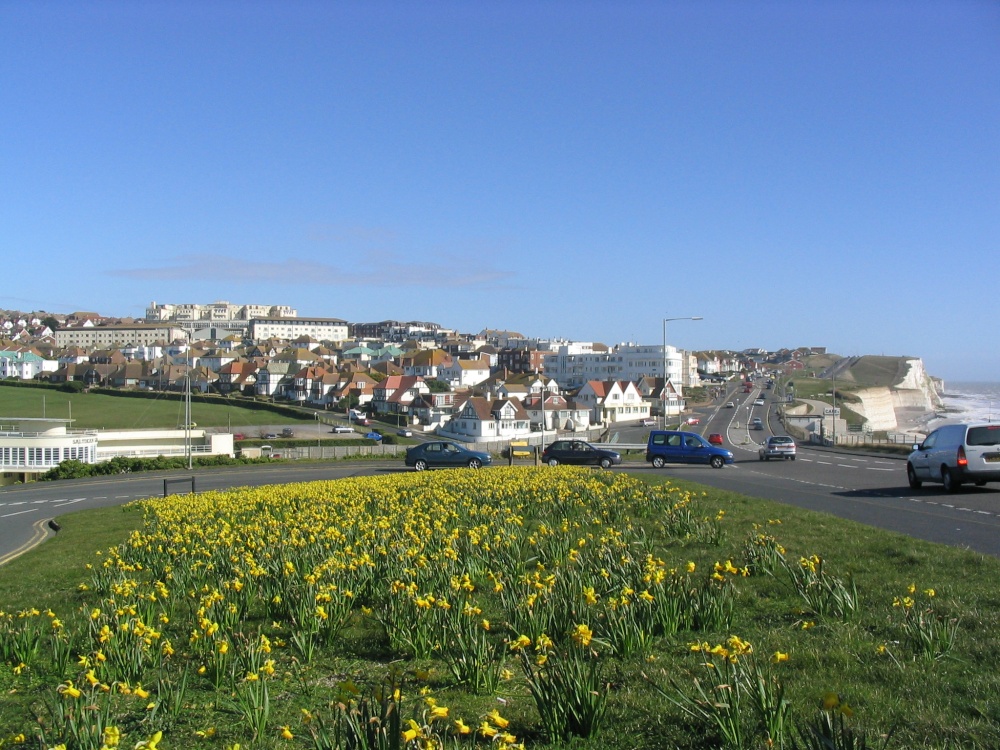 A picture of Saltdean