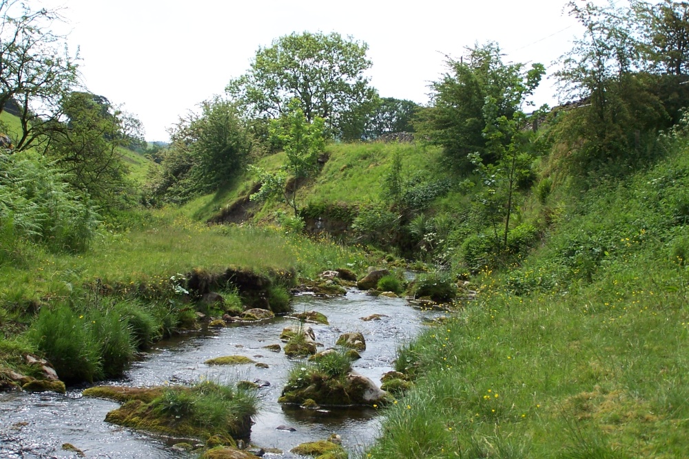 Photograph of Hebden Ghyll, North Yorkshire. Taken June 2006. Hebden is near Grassington.