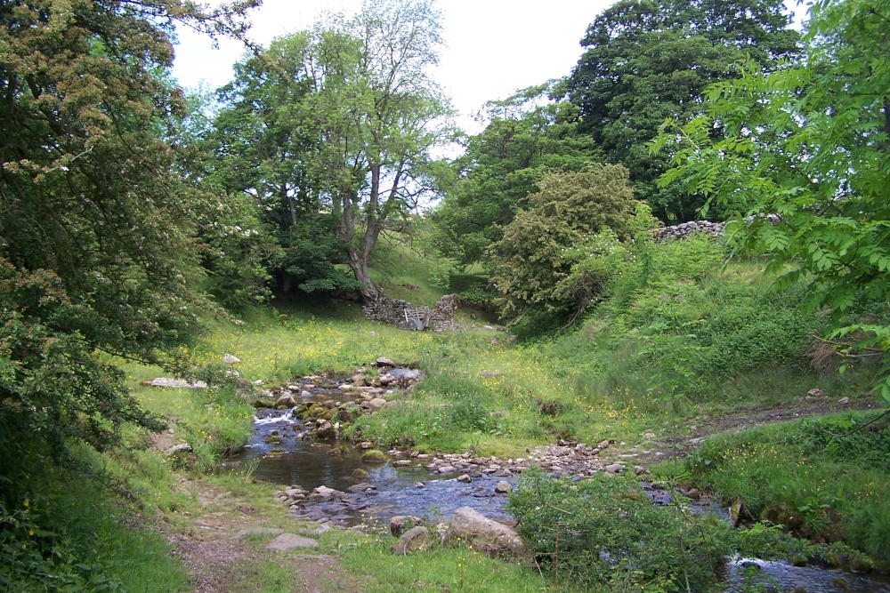 Photograph of Hebden Ghyll, North Yorkshire. Taken June 2006.