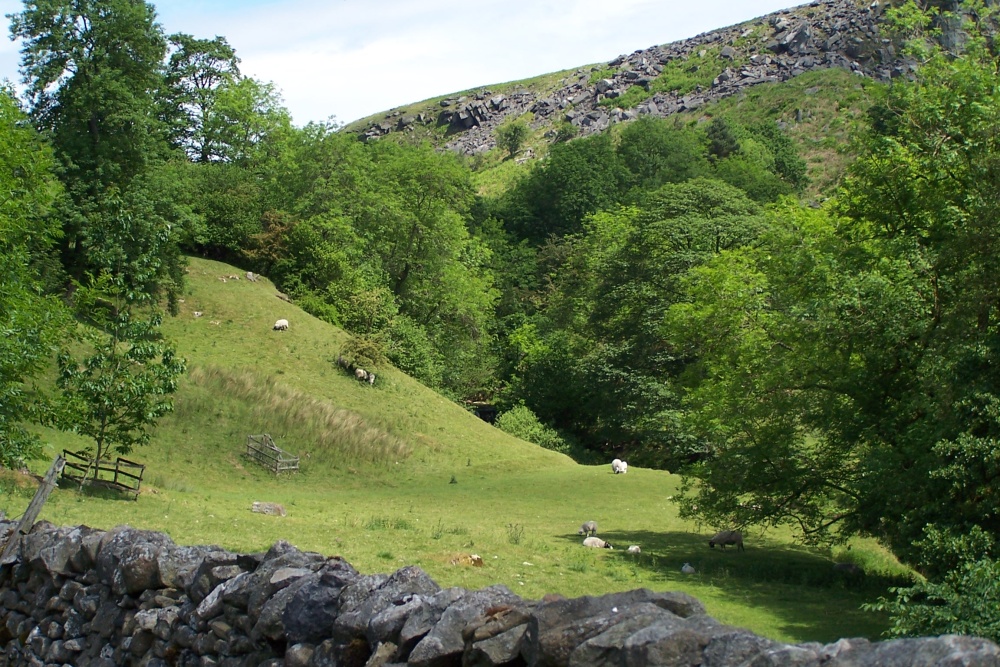 Photograph of Hebden Ghyll, Hebden, North Yorkshire. Taken June 2006.