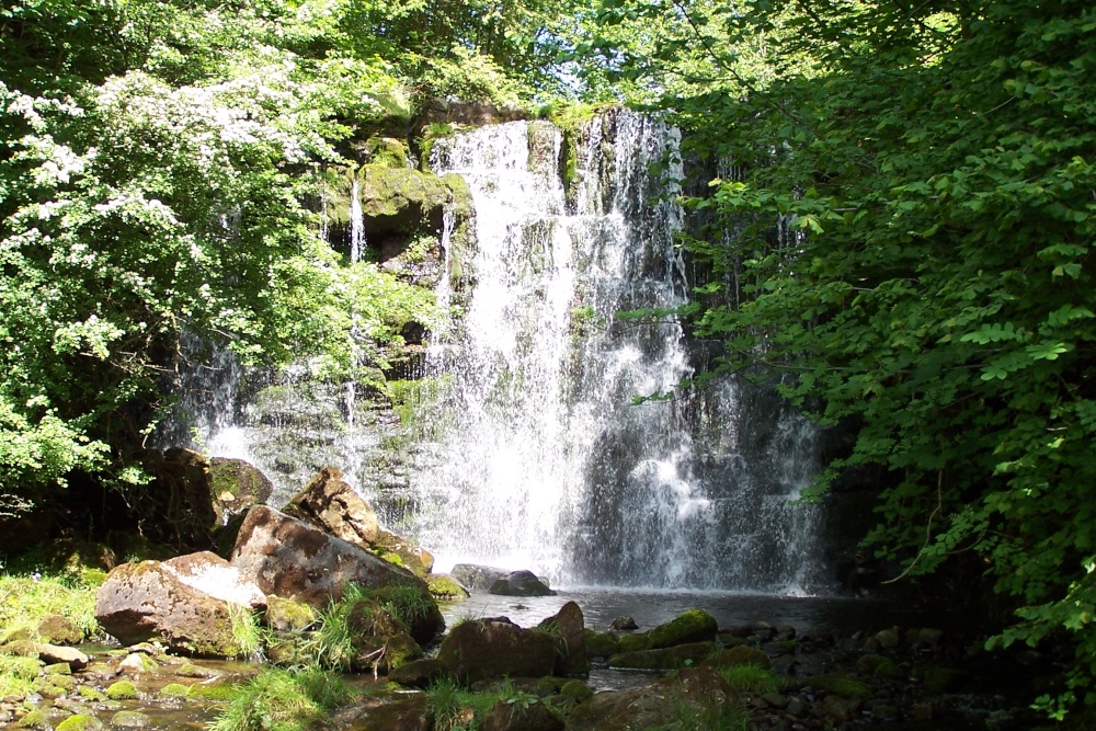 Hebden Ghyll Waterfall, North Yorkshire. Taken June 2006.