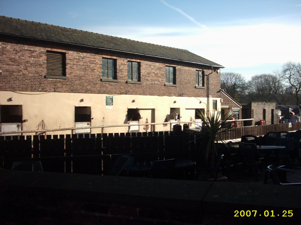 A picture of Reddish