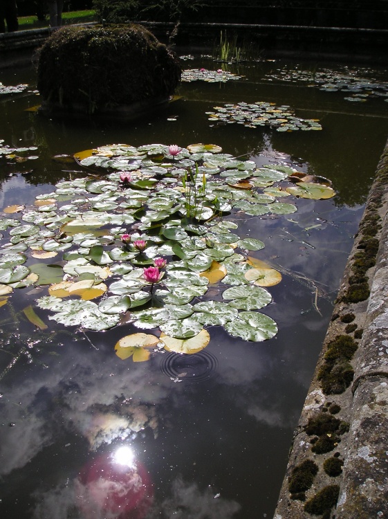Audley End, Saffron Walden, Essex