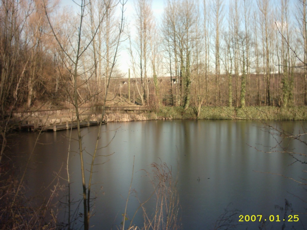A picture of Reddish Vale Country Park