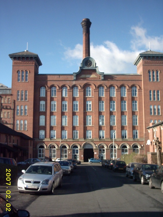 A picture of Reddish