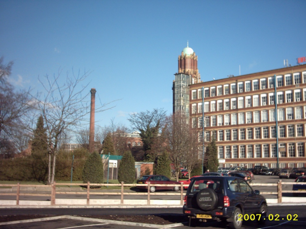 A picture of Reddish