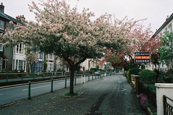 Mall, Newport, Isle of Wight.