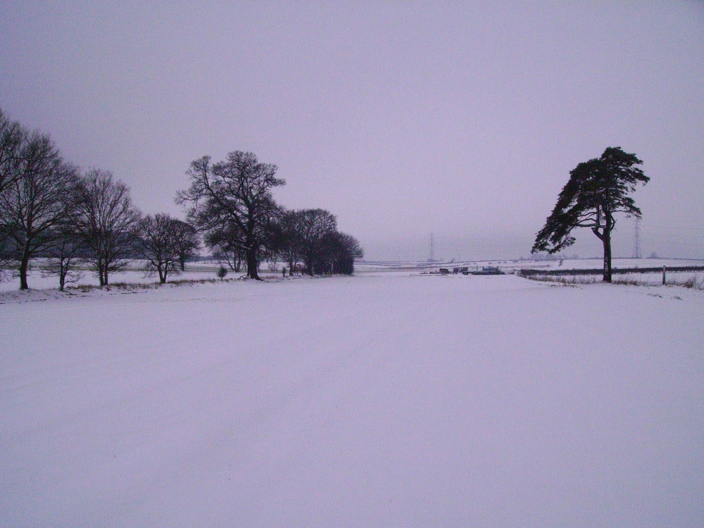 Nr. Steppingley Road, Flitwick, Bedfordshire. 8th Feb 2007