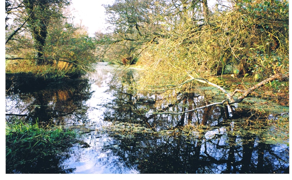 Dedham Vale, Essex photo by Ken Jarvis
