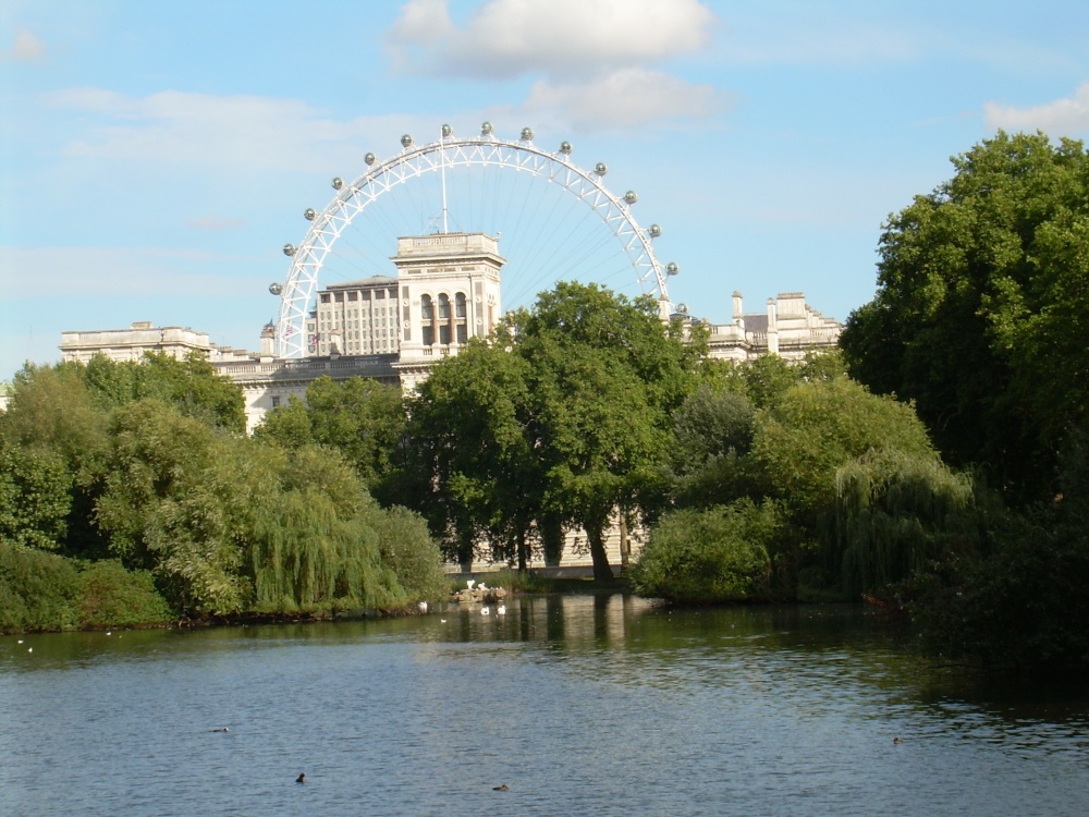 A view of the London Eye from St. James's Park, London.