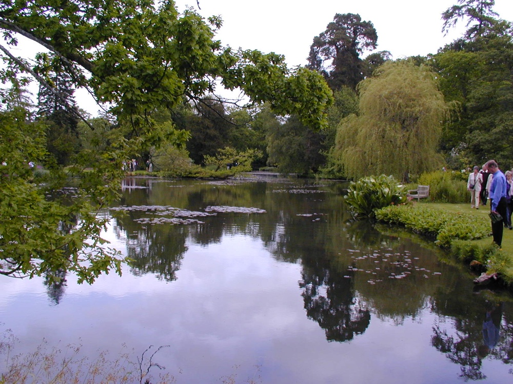 Longstock Water Gardens, Longstock, Hampshire photo by Tony Reeve