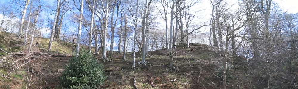 Bishops Park,Bishop Auckland,Durham