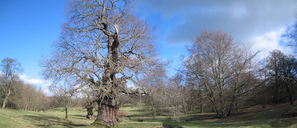 Bishops Park,Bishop Auckland,Durham