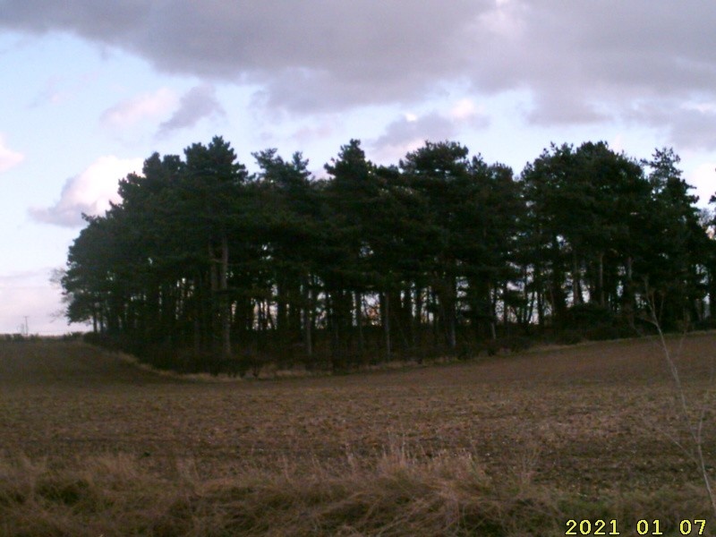 A corpse at the side of the River Ryton. Worksop, Nottinghamshire