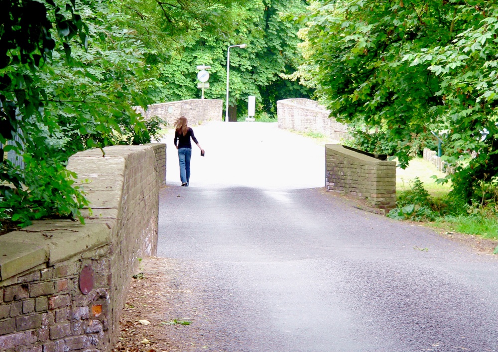 Nun's Bridge, Thetford