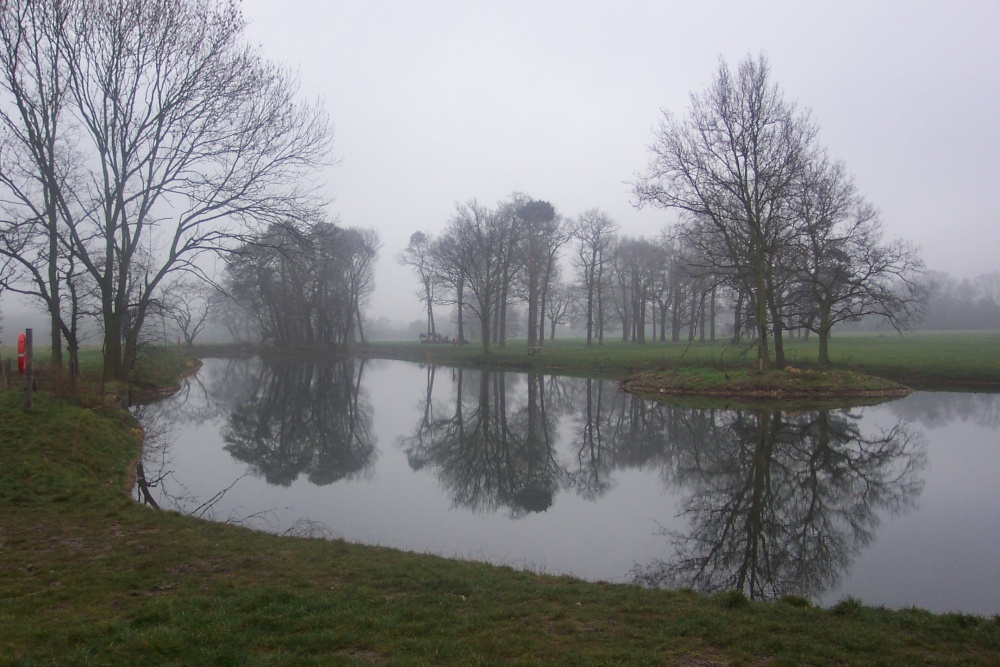 Lake early morning, Hylands Park, Chelmsford, Essex photo by Dave Fox