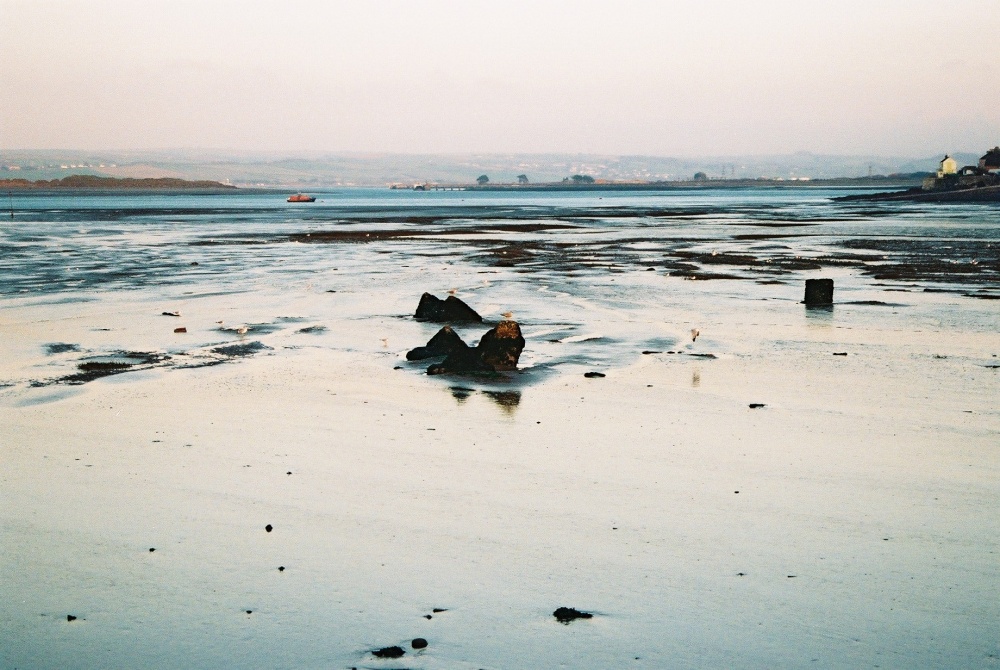 Looking back to Crow Point (left) and West Appledore (right) from Northam Burrows (Dec 06)