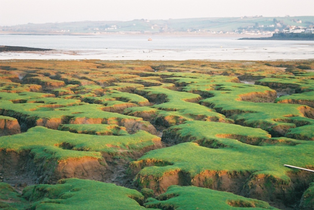 Photograph of Greysands, Northam Burrows - looking back to Appledore, Devon (Dec 06)