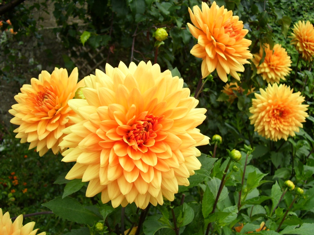 Melrose, the Borders, Scotland