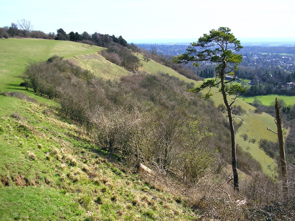 Photograph of Colley Hill, Reigate, Surrey.