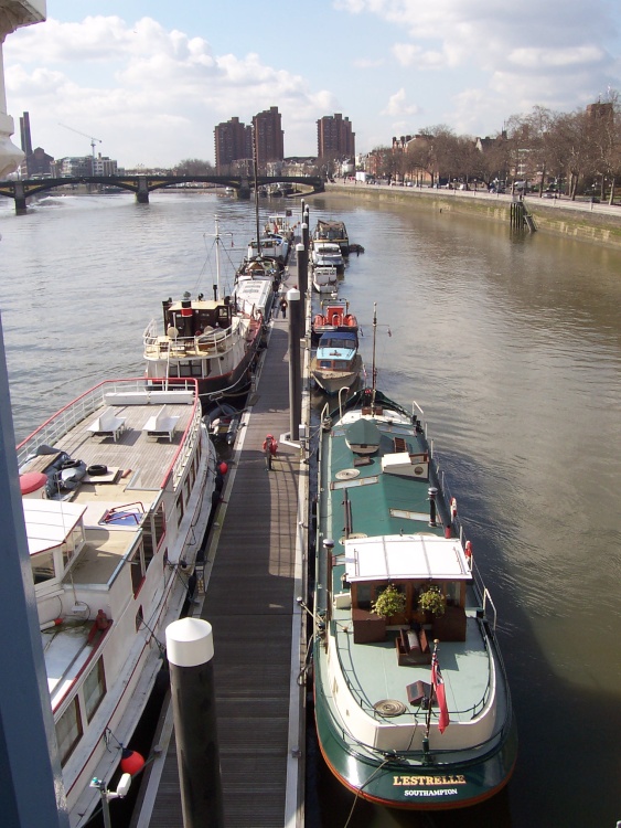 Boathouses Chelsea Embankment - Viewd From Albert Bridge