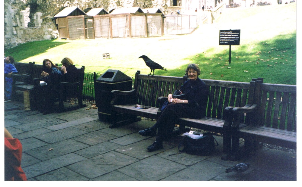 The Ravens at The Tower of London