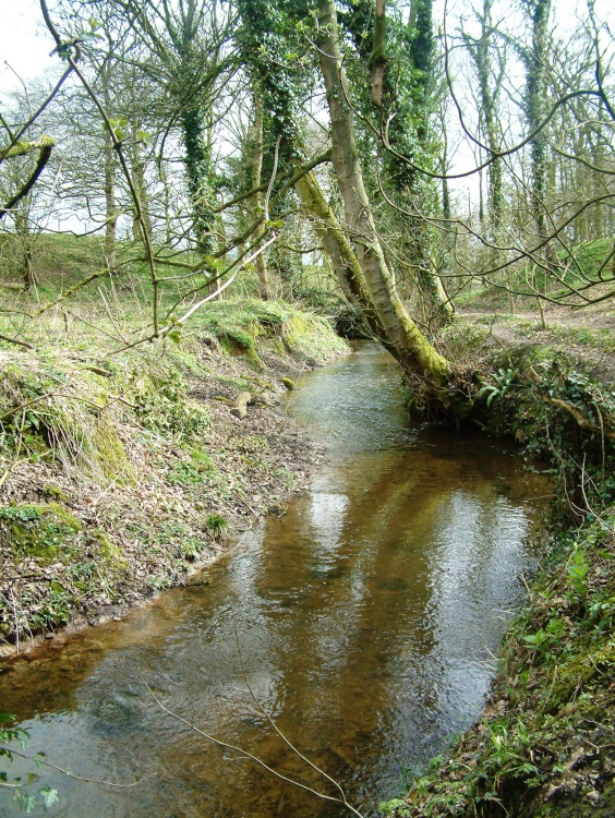 Stream near Big Wood (Marbury Park)