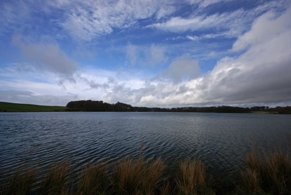 Just before the snow arrived...

taken at Talkin Tarn country park