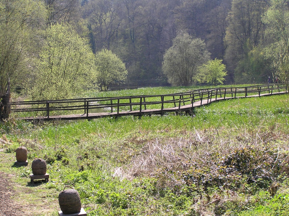 Walkway across the wild lake at Wakehurst Place, East Sussex, near Ardingly