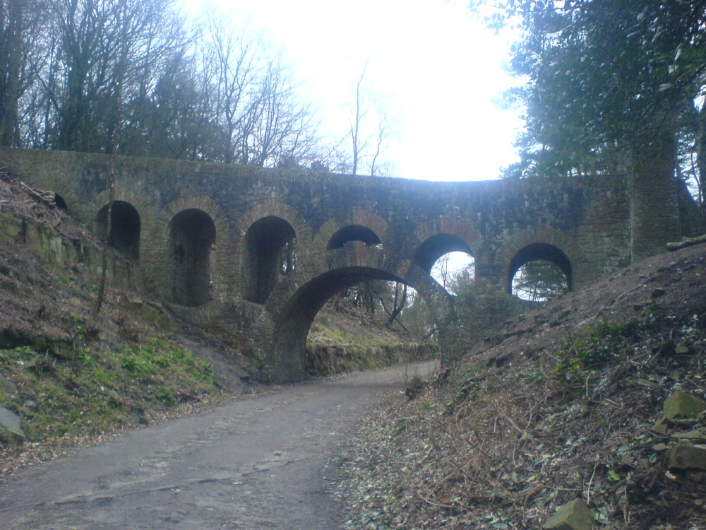 African Bridge in Leverhulmes gardens, Rivington