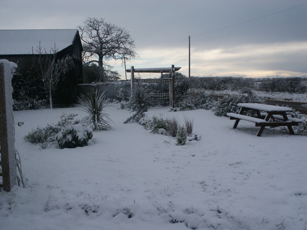 Winter snow in our garden in Thelbridge Cross, DEVON, England, Febuary 2007