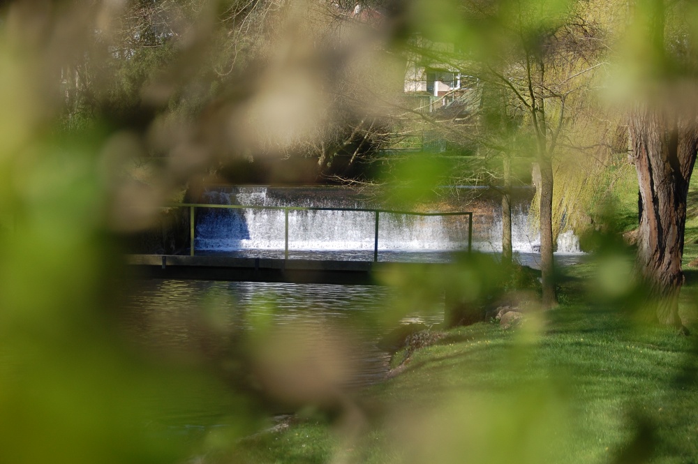 The River Coly on the first day of spring 2007