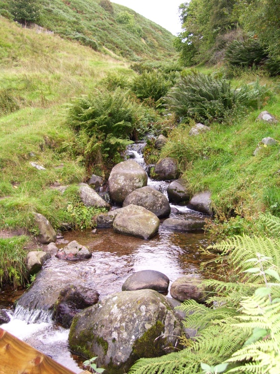 Brooke at Dollar Glen near Castle Campbell, near Dollar, Scotland