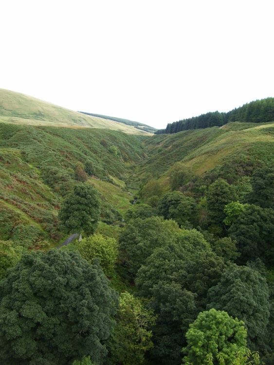 Ochil Hills & Dollar Glen, near Dollar, Scotland
