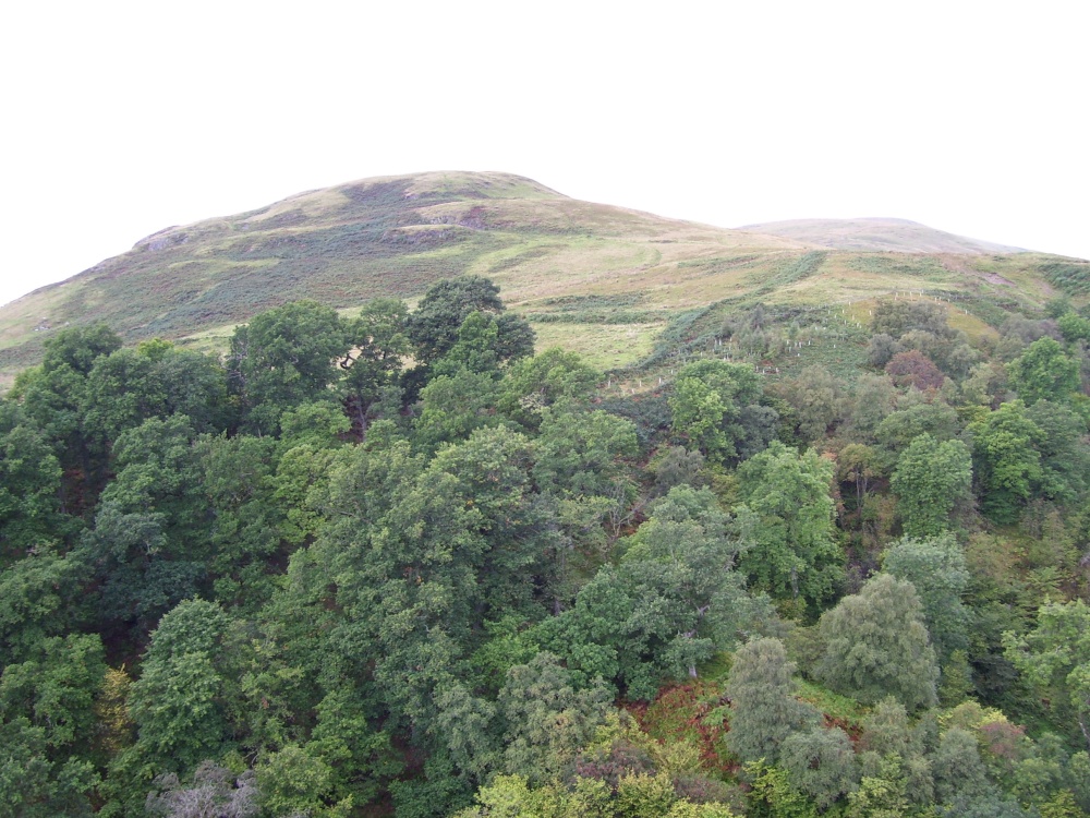 Ochil Hills & Dollar Glen, near Dollar, Scotland