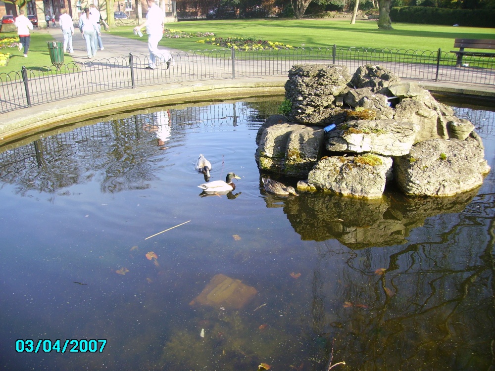 Mini pond in Kings Park with ducks.
In Retford, Nottinghamshire