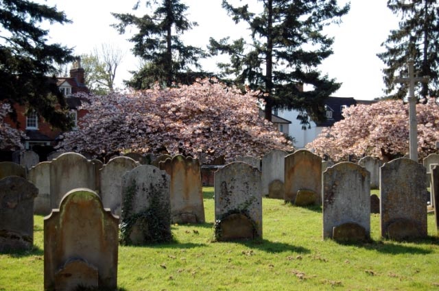 St Nicholas Church, Great Bookham, Surrey