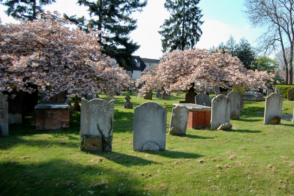 St Nicholas Church. Great Bookham, Surrey
