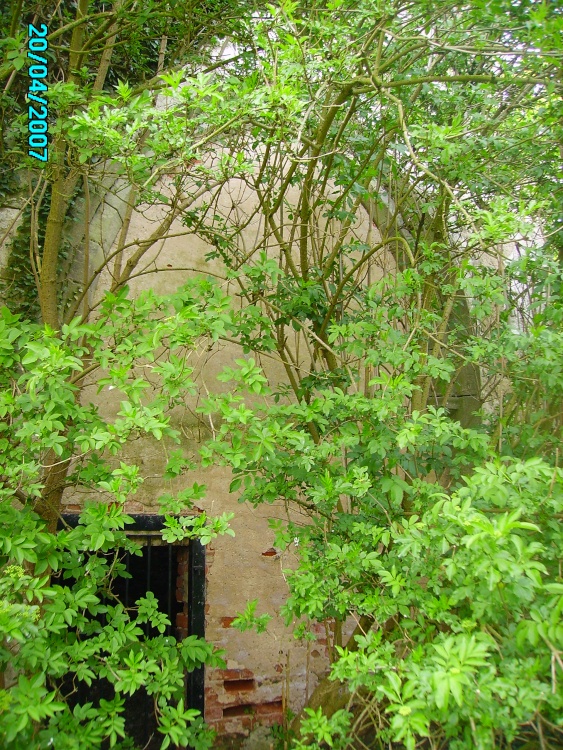 A picture of South Wheatley