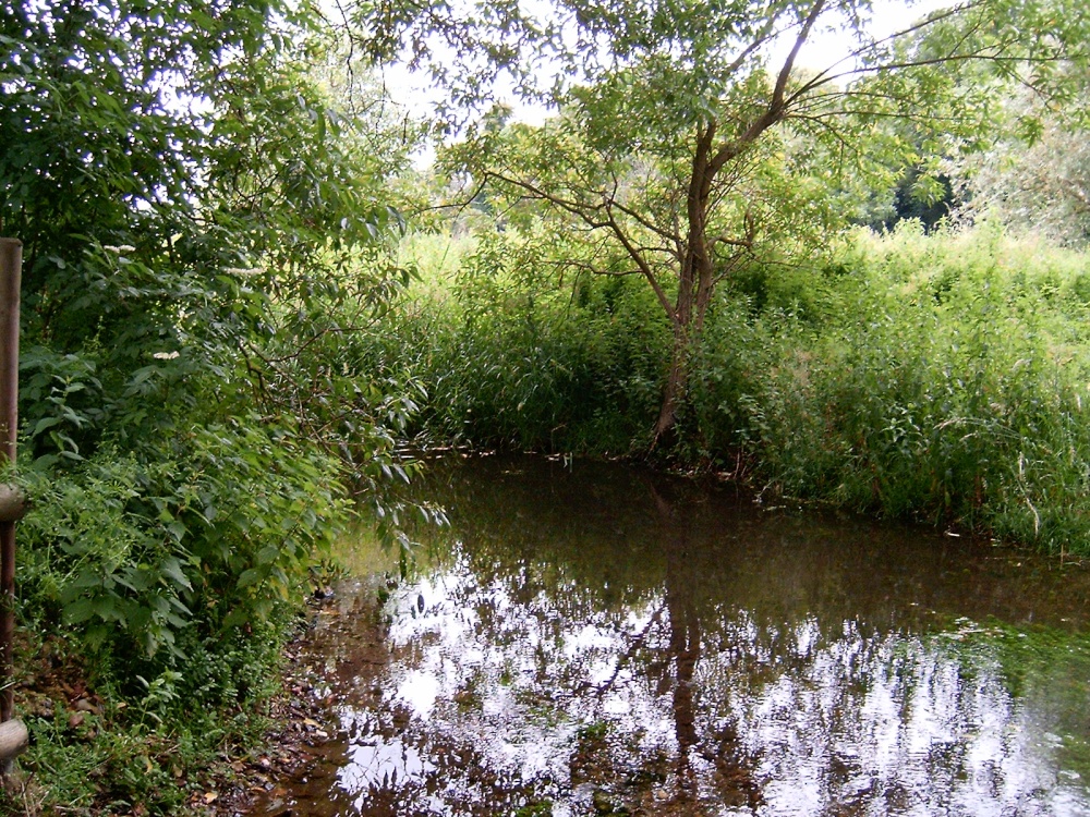 Photograph of Another picture of the Spring at Icini Village, Cockley Cley, Norfolk
