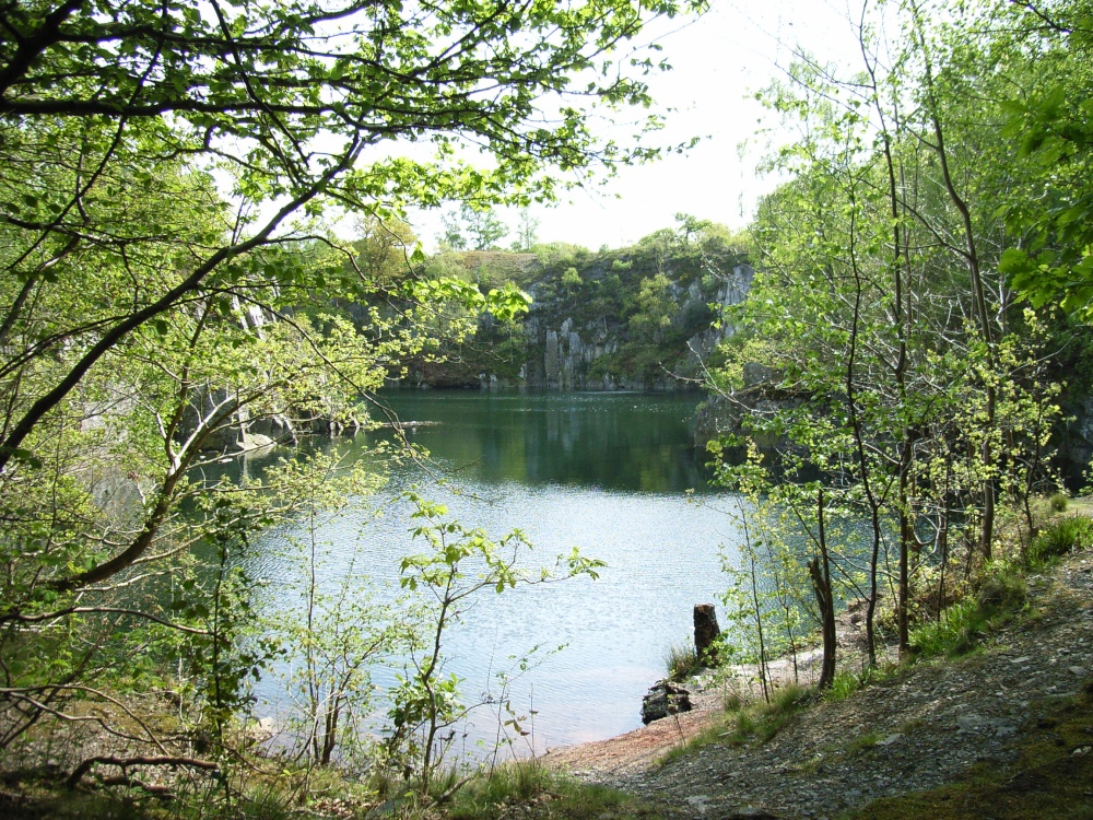 Swithland Woods, Leicestershire