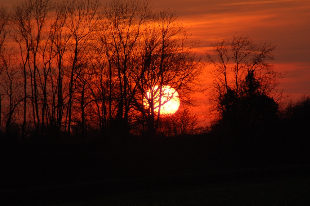 Sunset in April at Rowney Warren, Nr Chicksands, Shefford, Beds