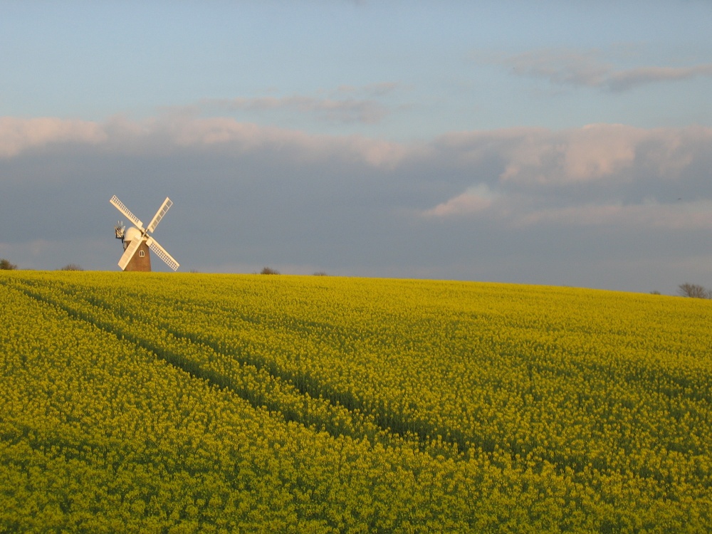 Wilton Windmill, Wilton, Wiltshire. Spring 2007