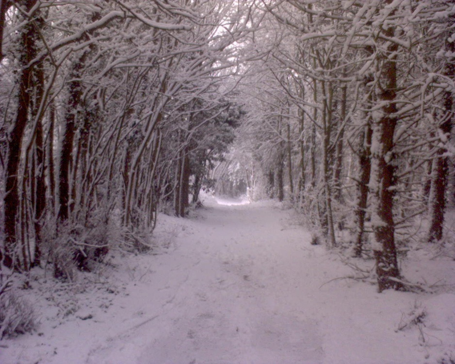 Photograph of A picture of Potton