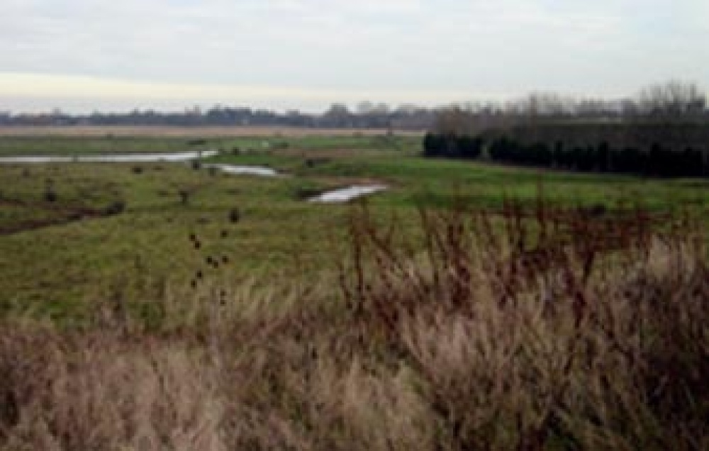 Photograph of Horsham Marshes, behind Woodruff Close-Upchurch, Kent. Looking towards the River Medway.