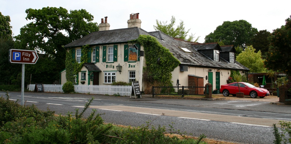 Filly Inn, near Brockenhurst in the New Forest, Hampshire