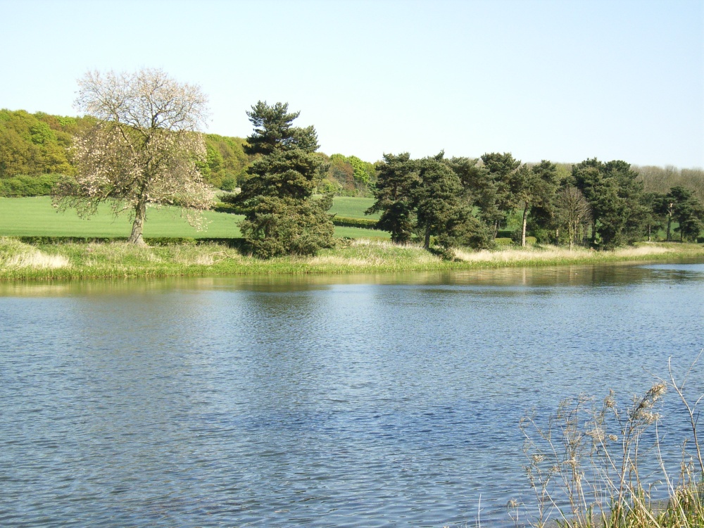 Thornton Reservoir, Leicestershire photo by Jez Taylor