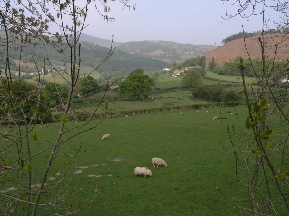 View over Glyndyfrdwy, Denbighshire