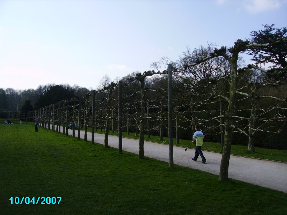 A picture of Rufford Abbey